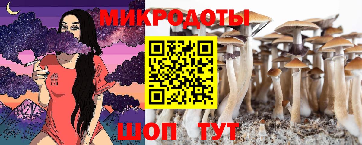 Галлюциногенные грибы прущие грибы Алексеевка